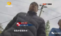 杀牛视频,揭秘杀牛全过程